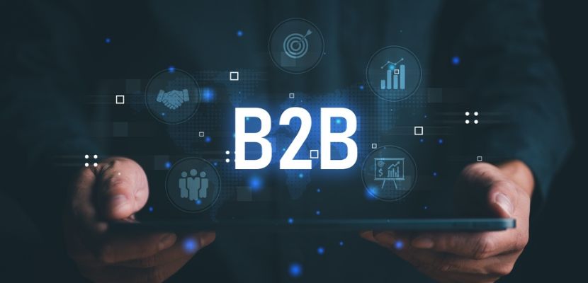 B2B Websites
